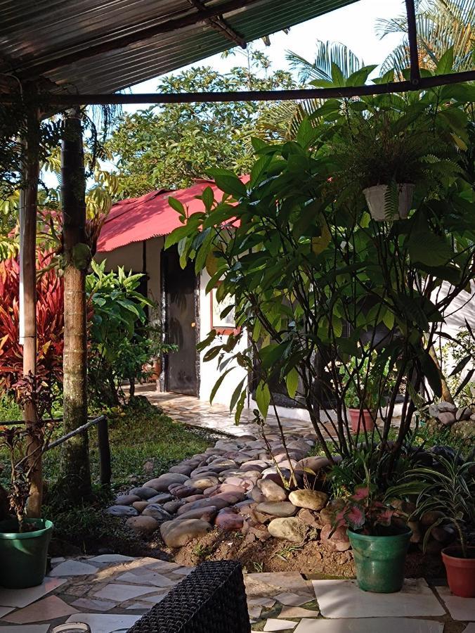 Posadamanduka Eco-Hostel Buenavista  Exteriér fotografie