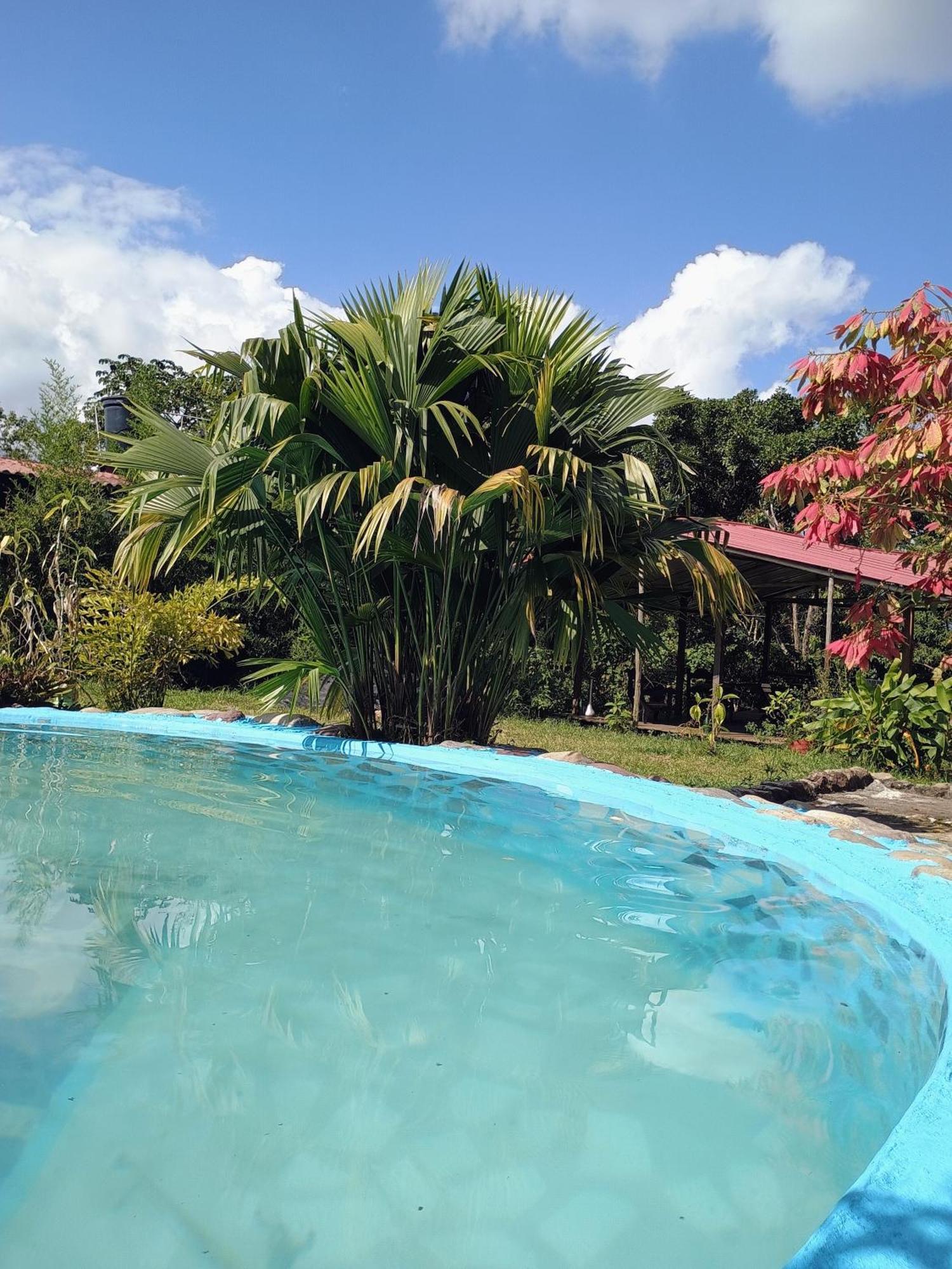Posadamanduka Eco-Hostel Buenavista  Exteriér fotografie