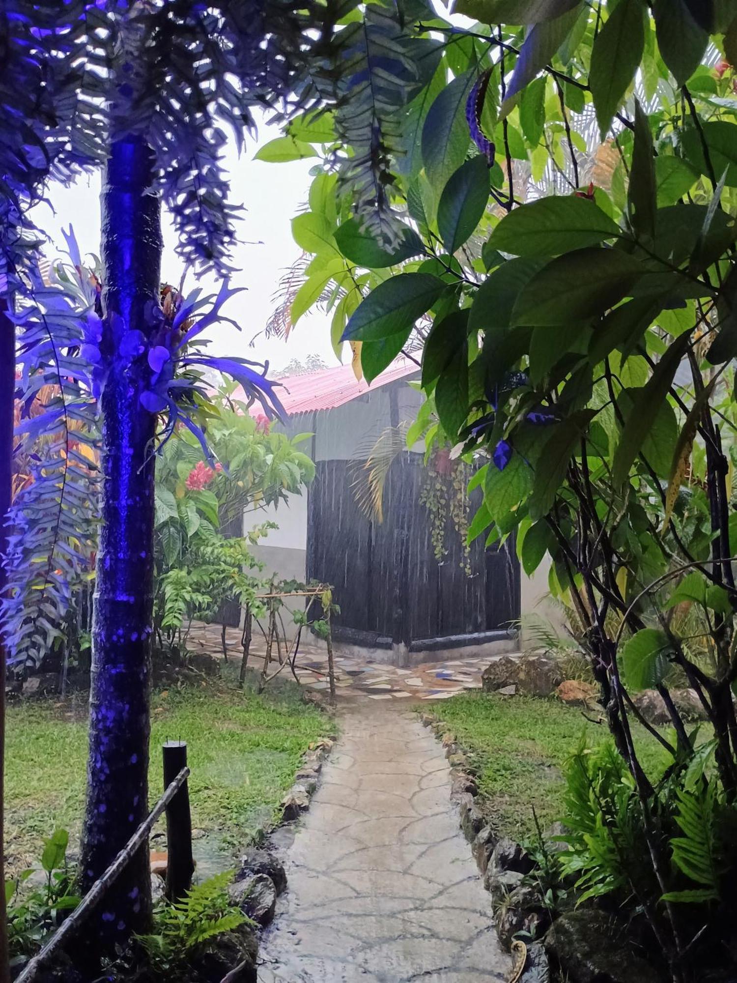 Posadamanduka Eco-Hostel Buenavista  Exteriér fotografie